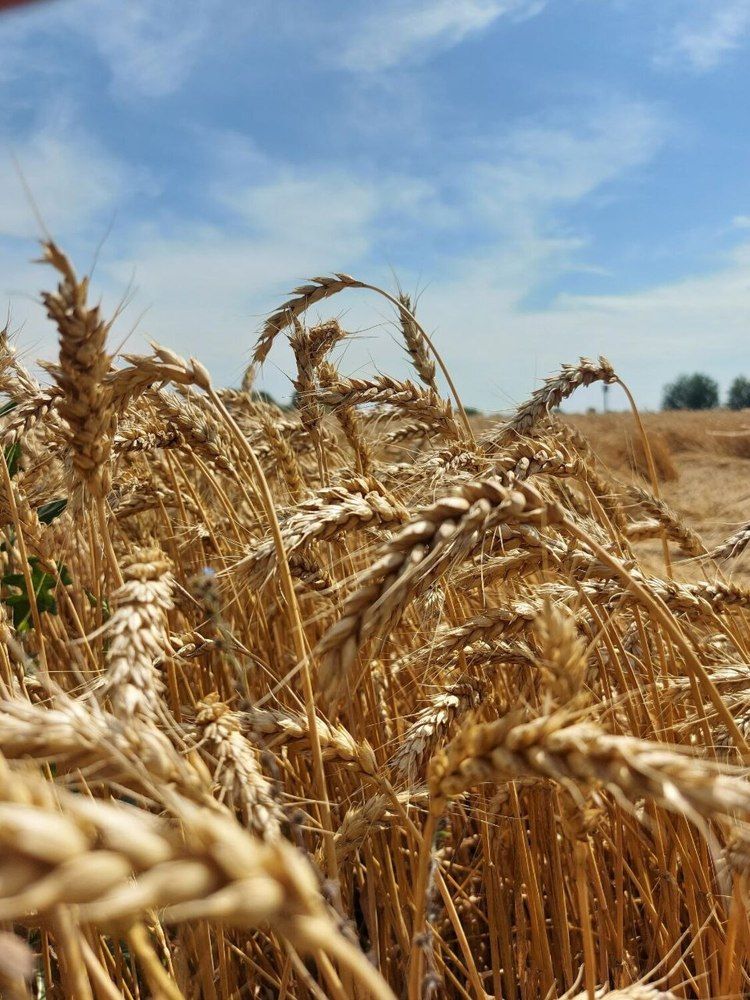 Photograph by Ольга Салюкова