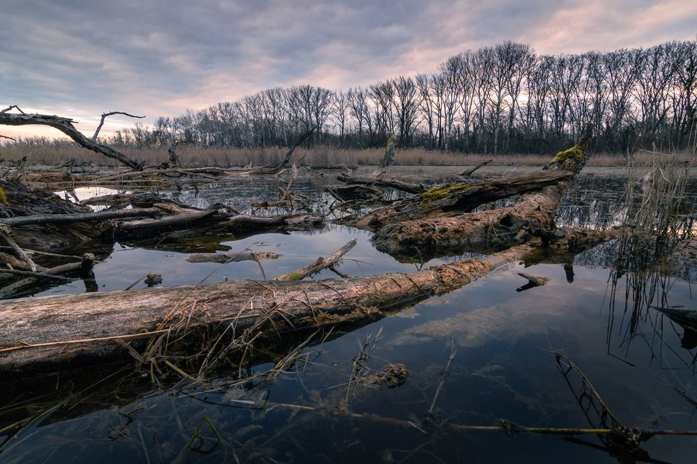 Photograph by Lukas Kulla