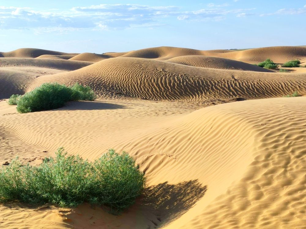 Photograph by Надежда Батракова