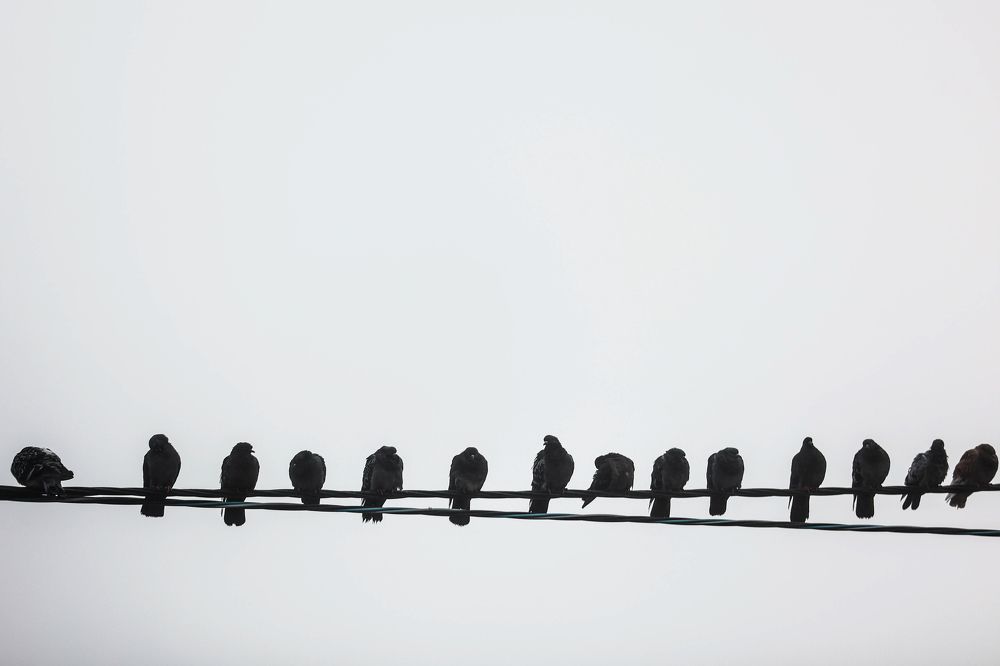 Photograph by Данила Назаров