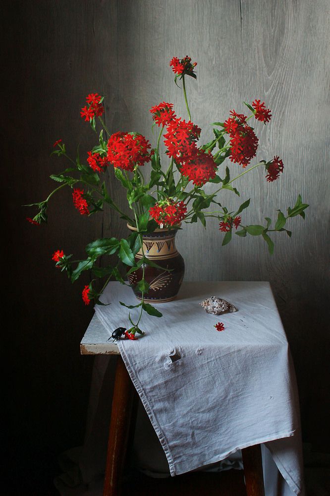 Photograph by Курочкина Диана