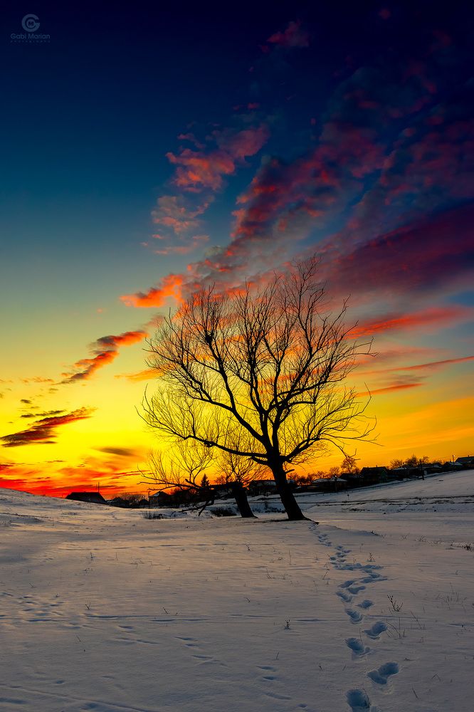 Photograph by Gabriel MARIAN