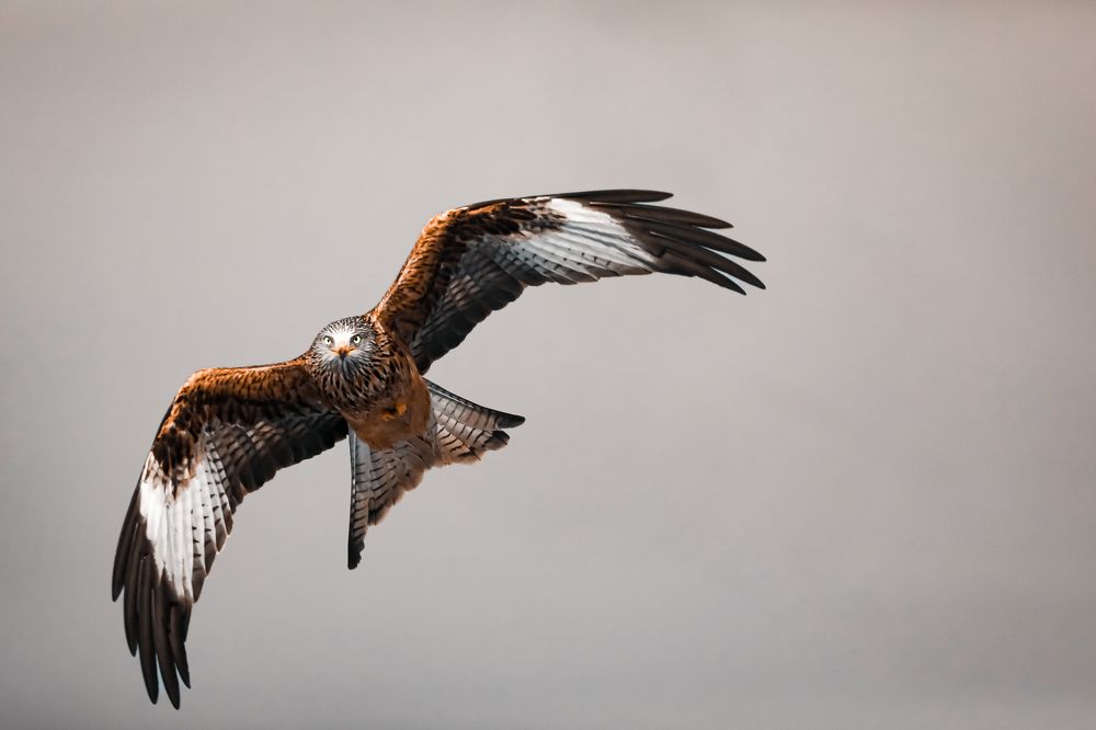 Photograph by Yaniv Abramovitz