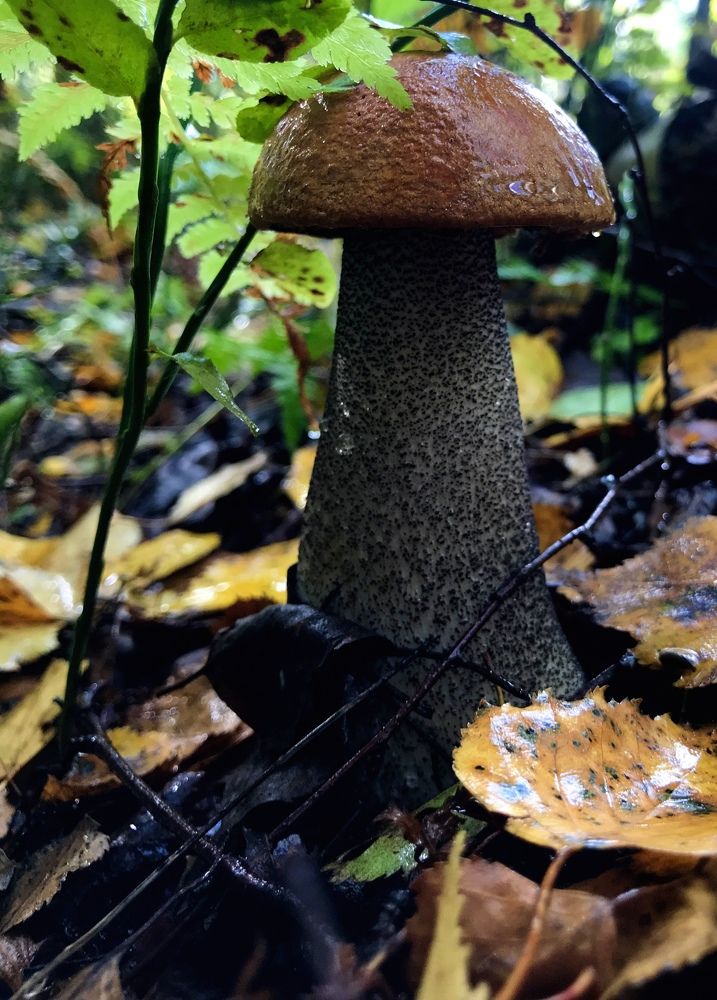 Photograph by Полина Александровна