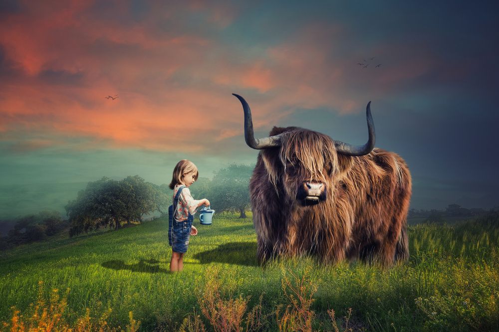 Фотография автора Sergii Vidov