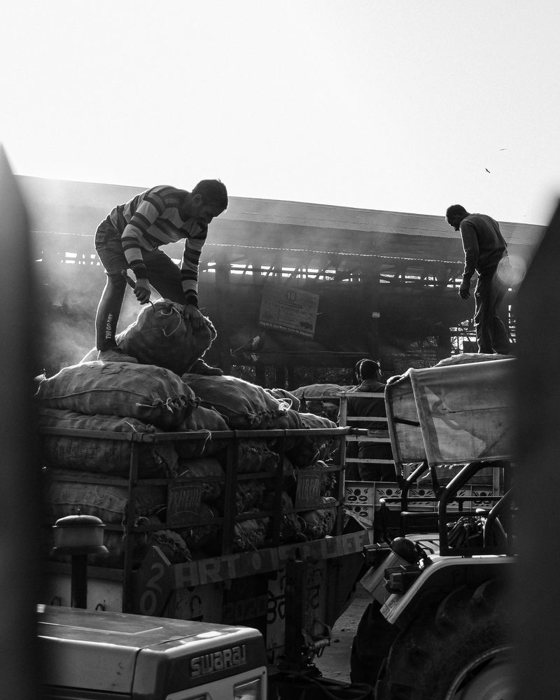 Photograph by RITVIK BHARDWAJ