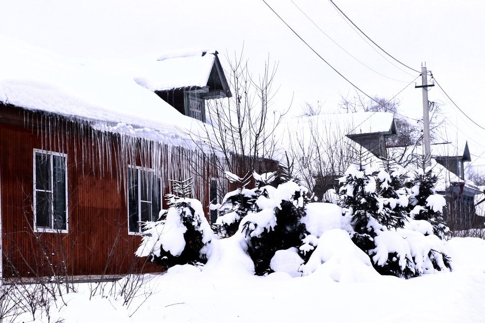 Photograph by Vladimir liametz