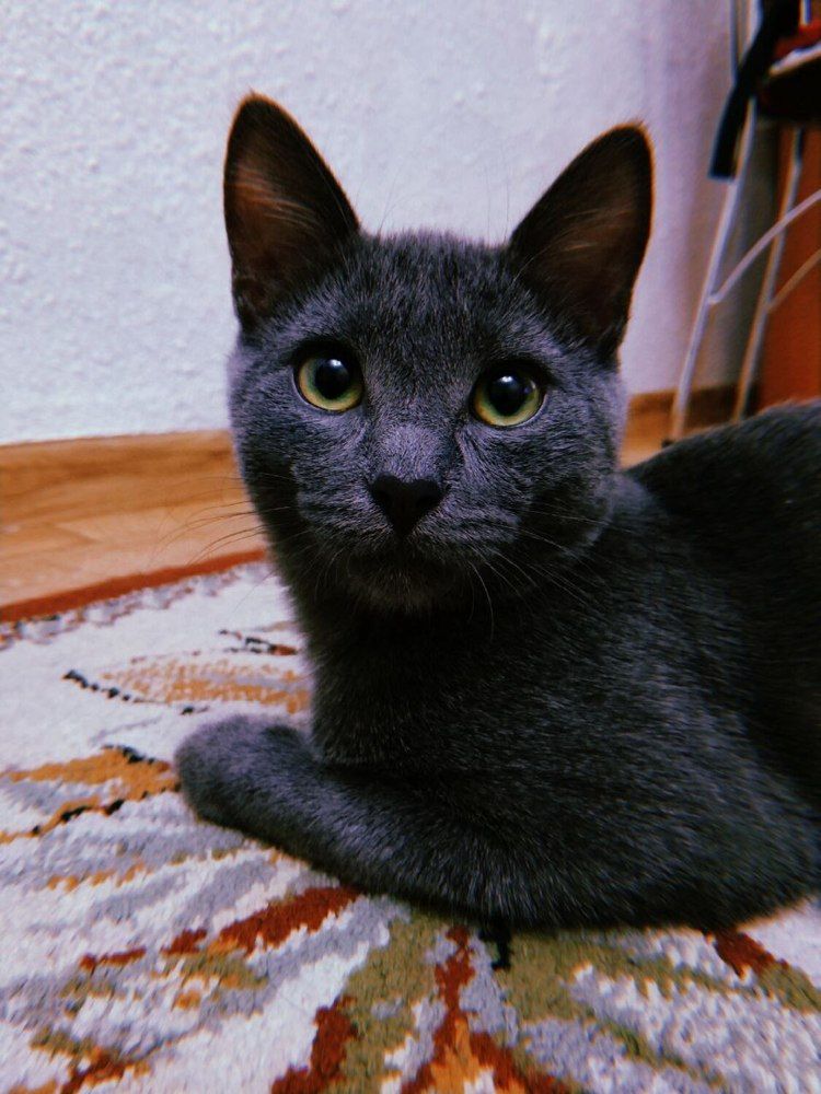 Photograph by Ольга Салюкова