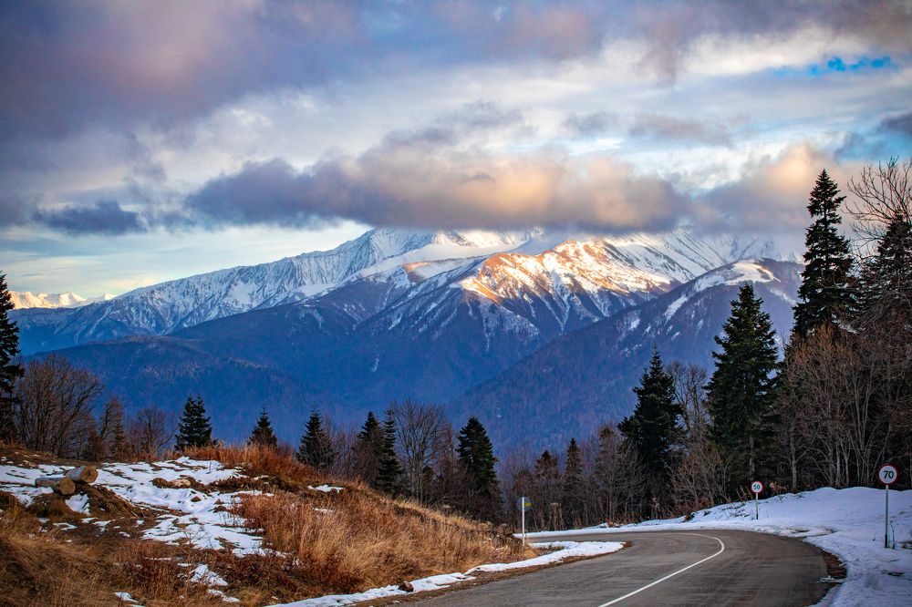 Photograph by Katrin Antares