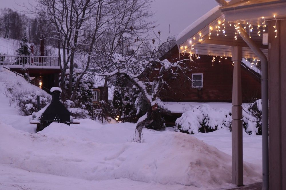 Photograph by Vladimir liametz