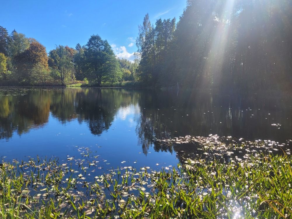 Photograph by Egita Bebrite