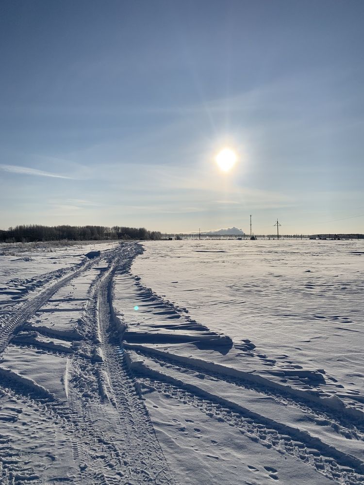 Утро в поле