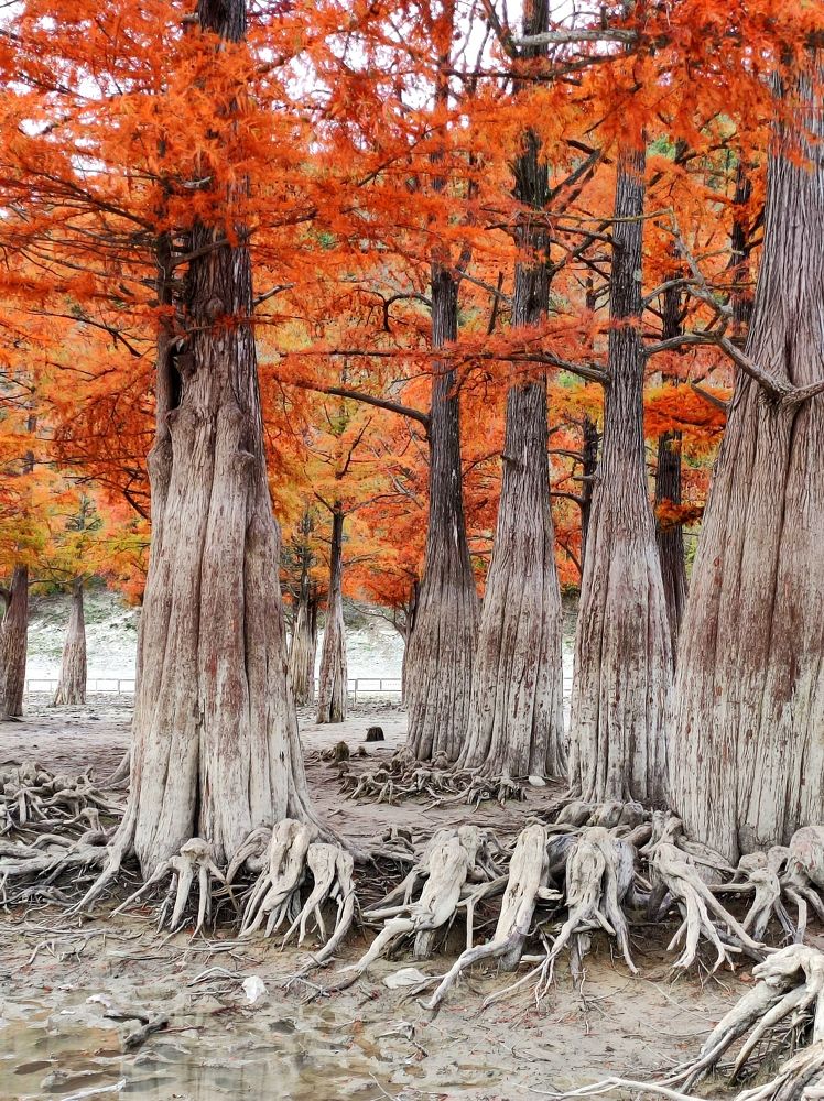 Photograph by Надежда Батракова