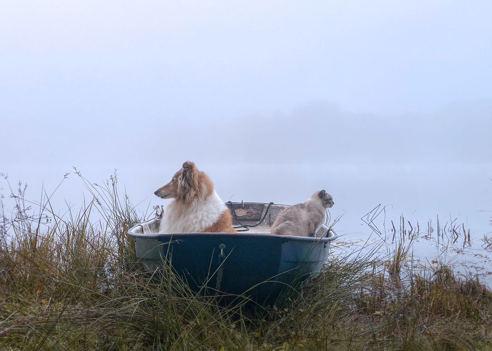 Photograph by LYUDMYLA POKRYSHEN