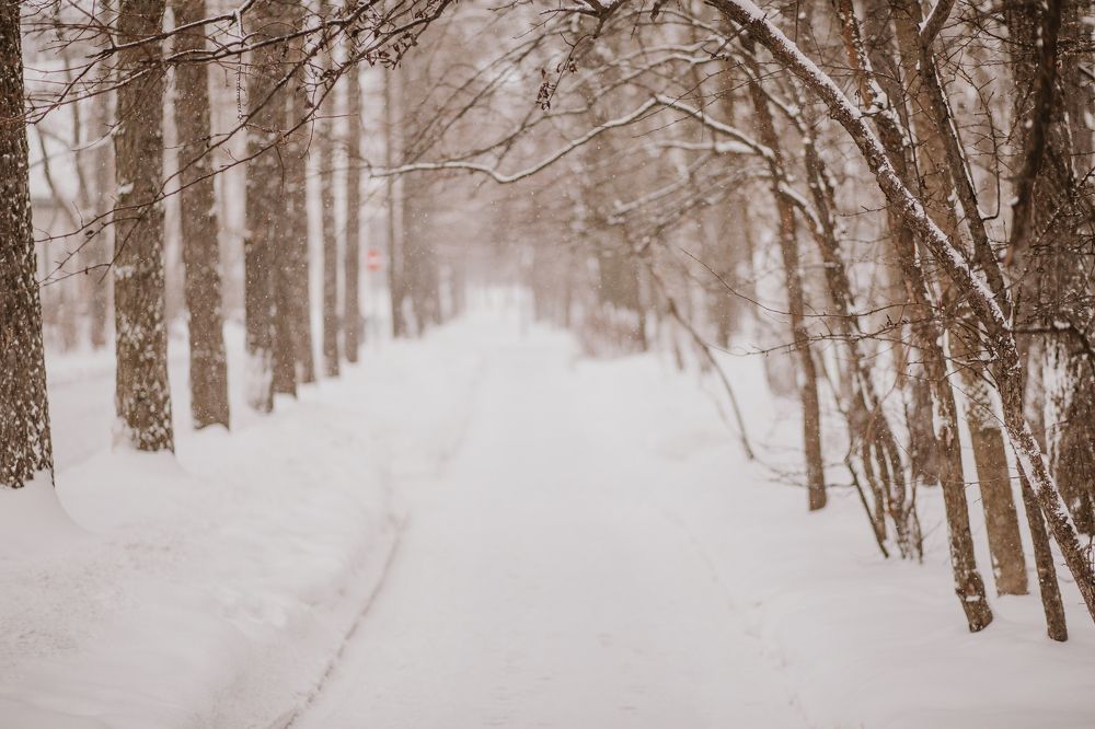 Photograph by Галина Кочеткова