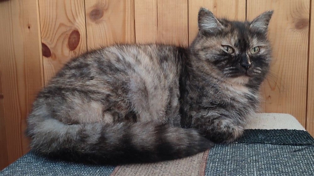 Photograph by Светлана Батурова