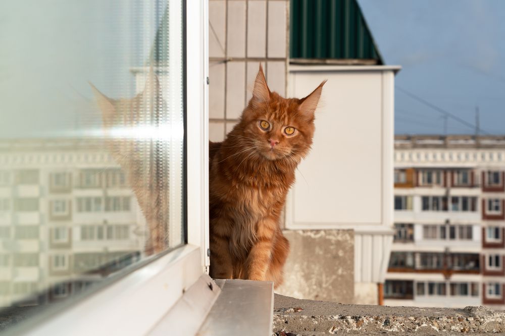 Photograph by Yuli Lerou