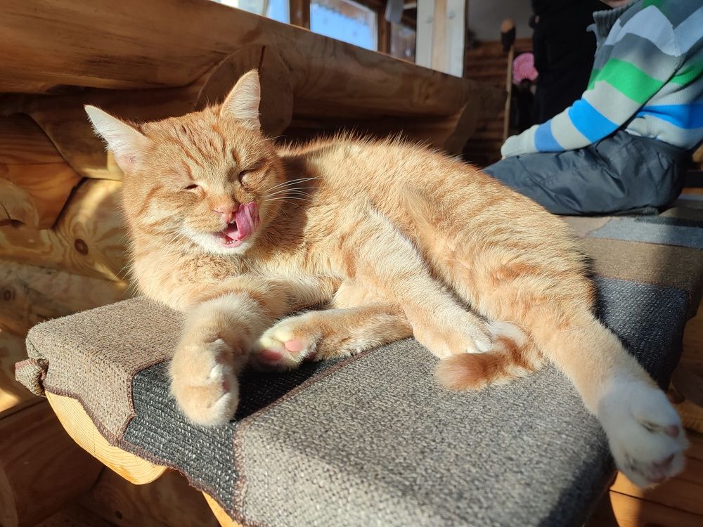 Photograph by Светлана Батурова