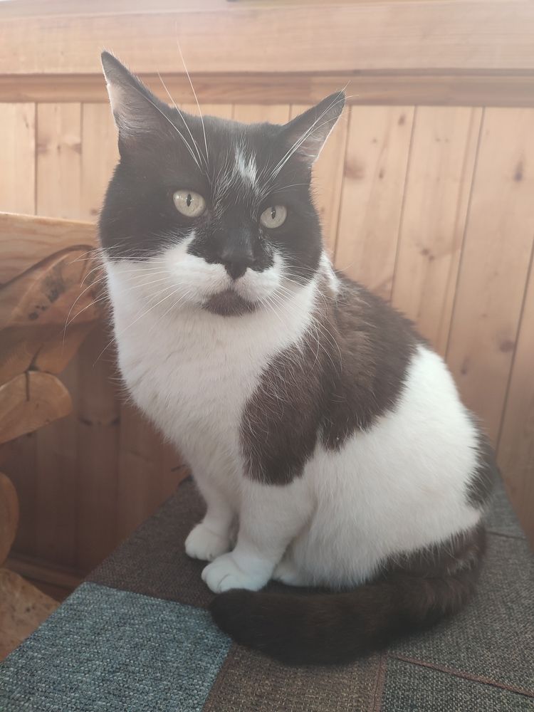 Photograph by Светлана Батурова