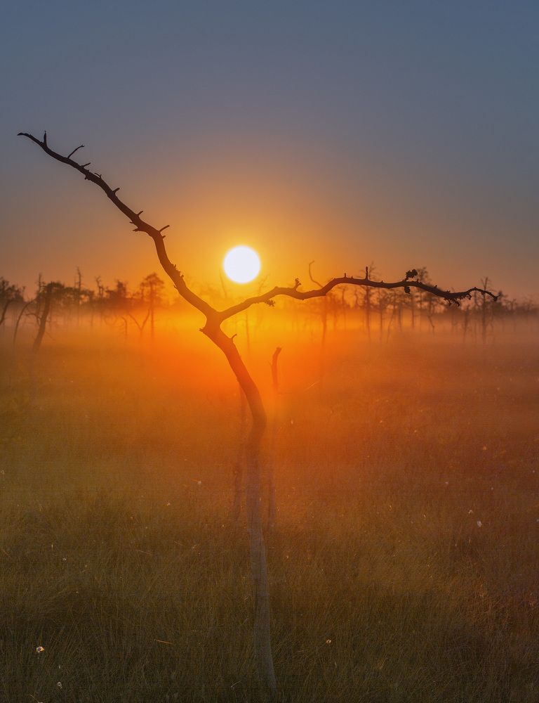 Photograph by Анастасия Моисеенко