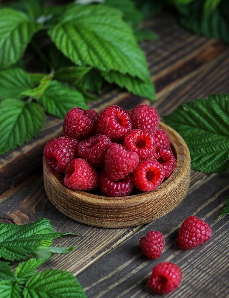 Photograph by Оксана Бурцева