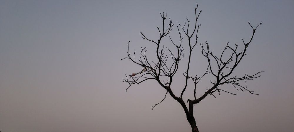 Photograph by Rahul Jagtap