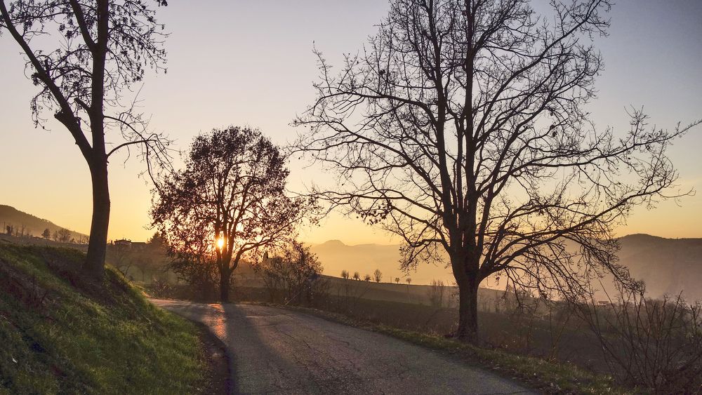 Фотография автора Liliana C.