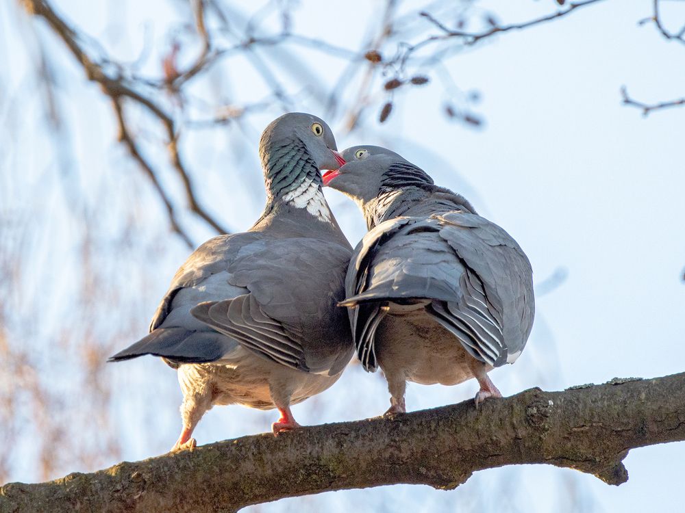 Photograph by Алла Толстая