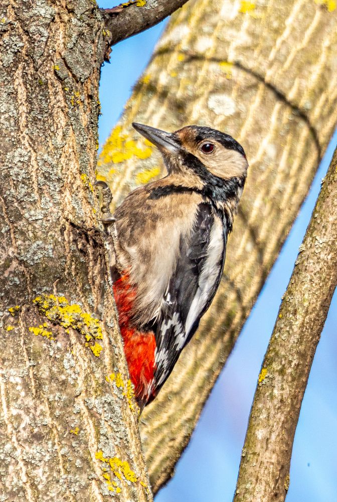 Photograph by Алла Толстая