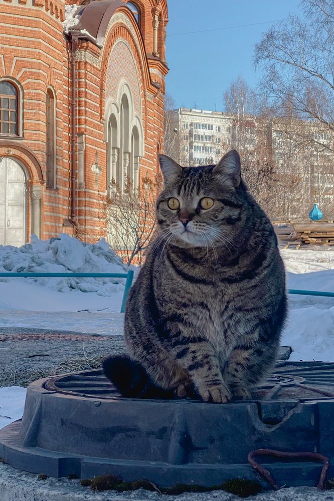 Photograph by Yuli Lerou