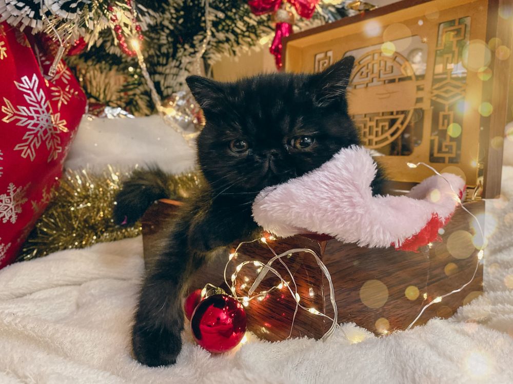 Photograph by Yuli Lerou