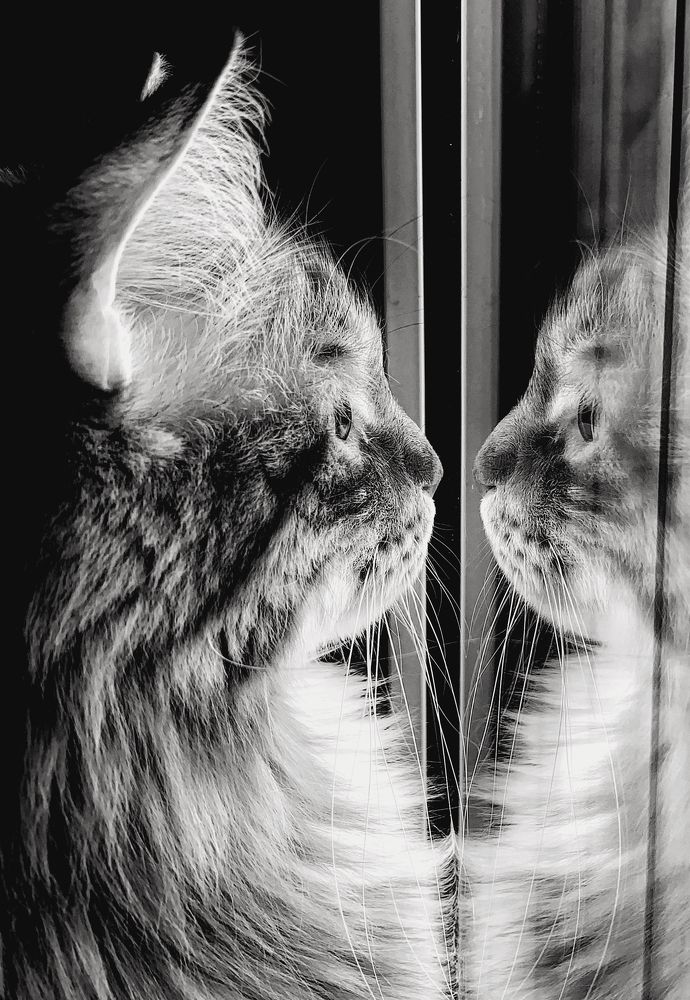 Вечерний Ричард