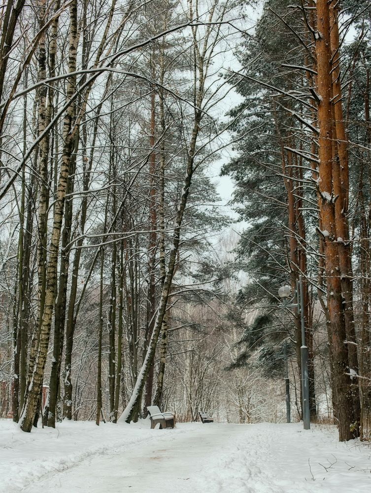 Photograph by Стасов Виталий