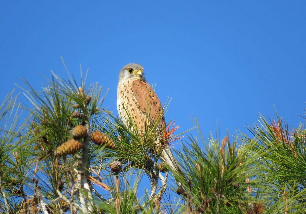 Photograph by Klara Leonenko