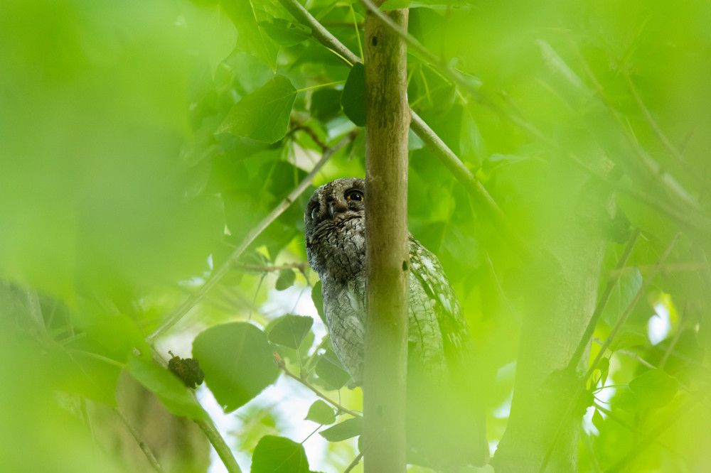 Photograph by Jesus Varas