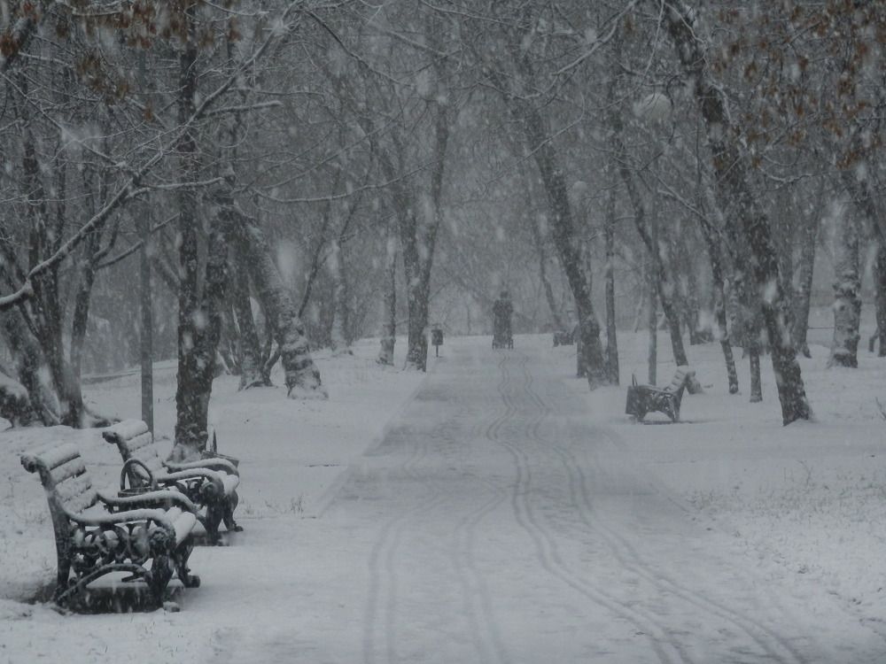 Photograph by Наталия Калюкина