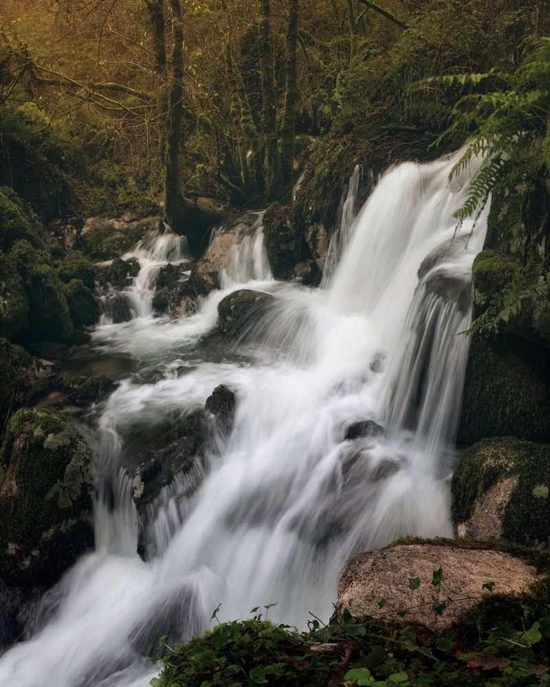 Photograph by Roberto