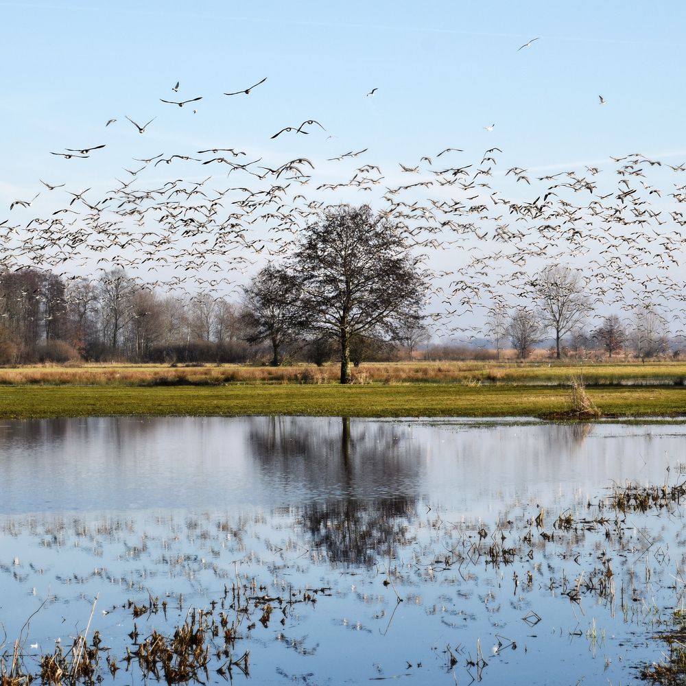 Photograph by Gabriella Szabo