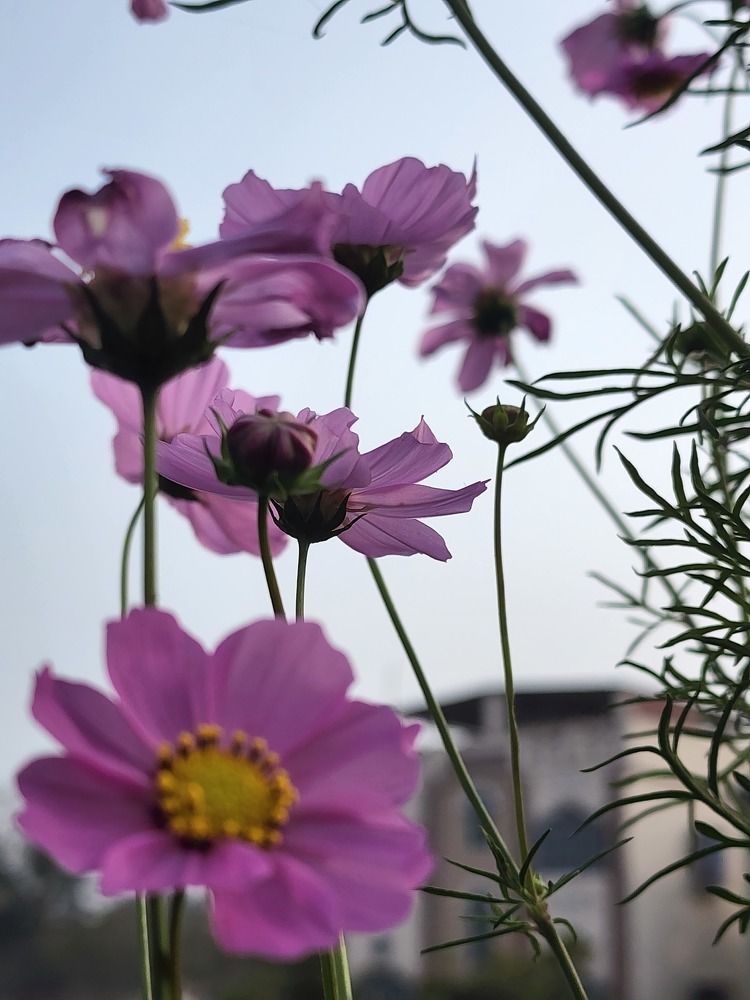 Photograph by Saurav Gupta