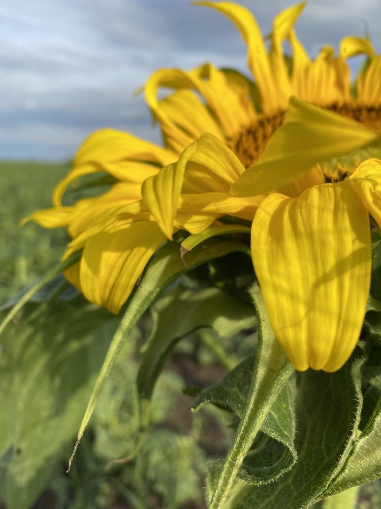 Photograph by Aлександра Чаплыгина