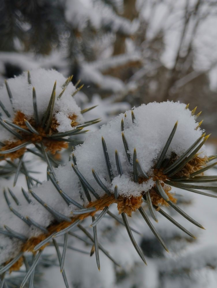 Photograph by Максим Маликов