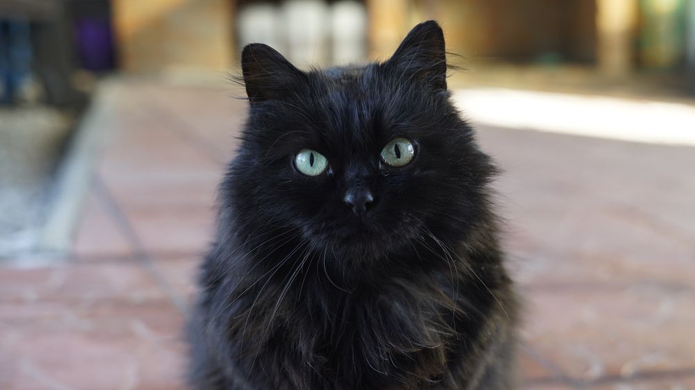 Photograph by Роман Трошин