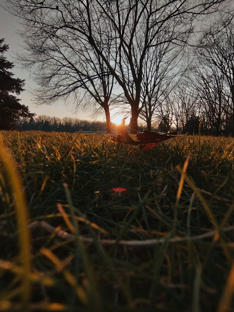 Photograph by Максим Маликов