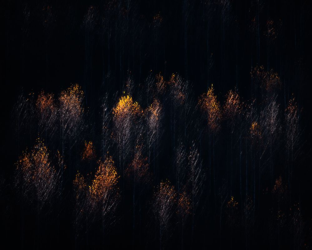 Photograph by Alexandru Handrache