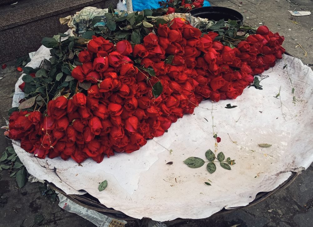 Photograph by Adrija Kundu