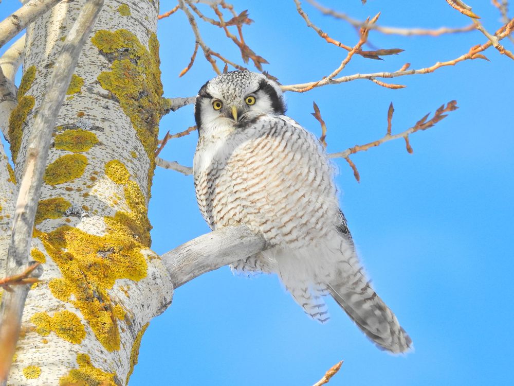 Photograph by Игорь Степанов