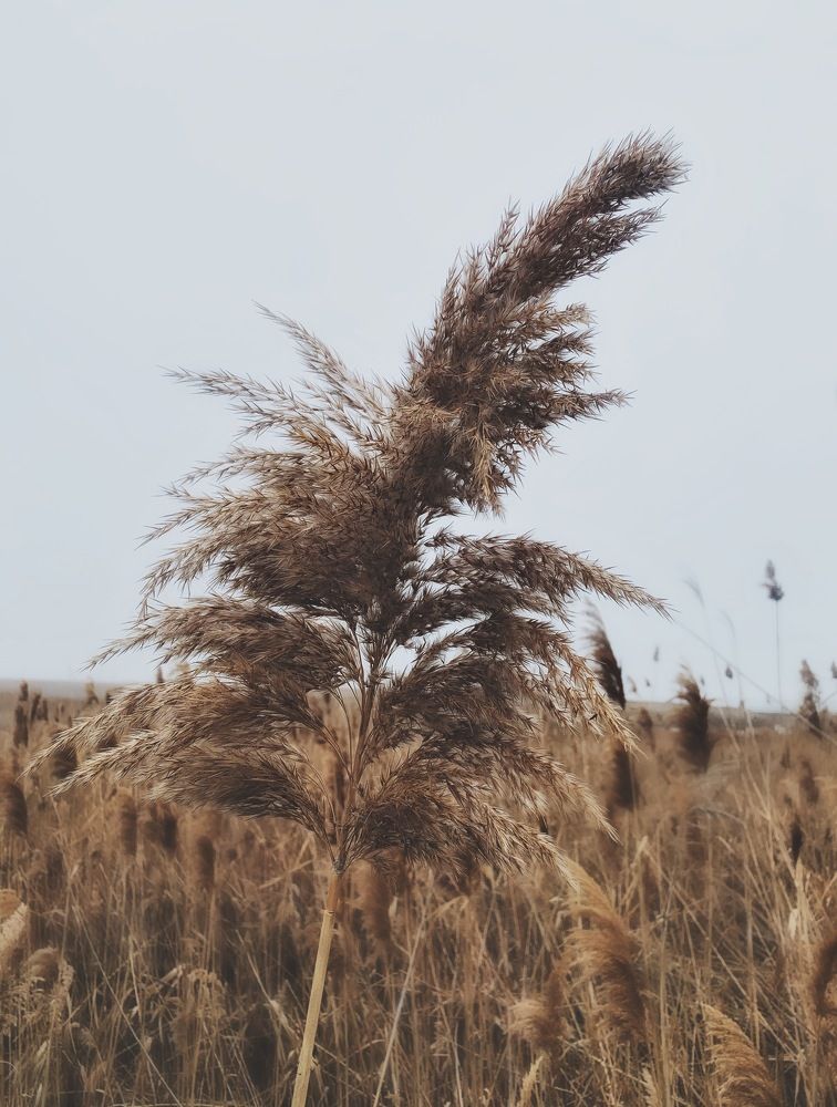 Photograph by Рыжик Алёна