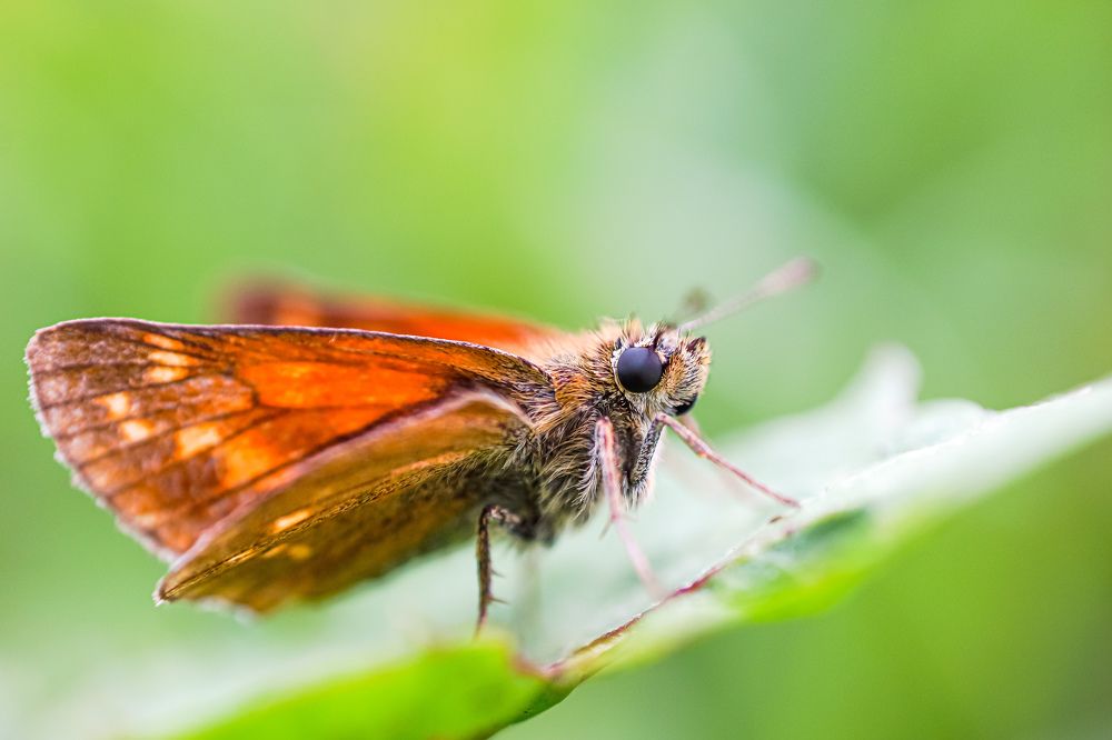 Photograph by Александр Казак