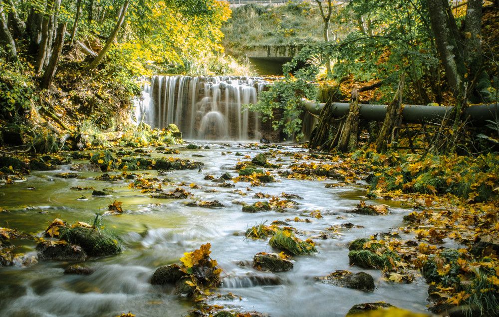 Photograph by Александр Забавка