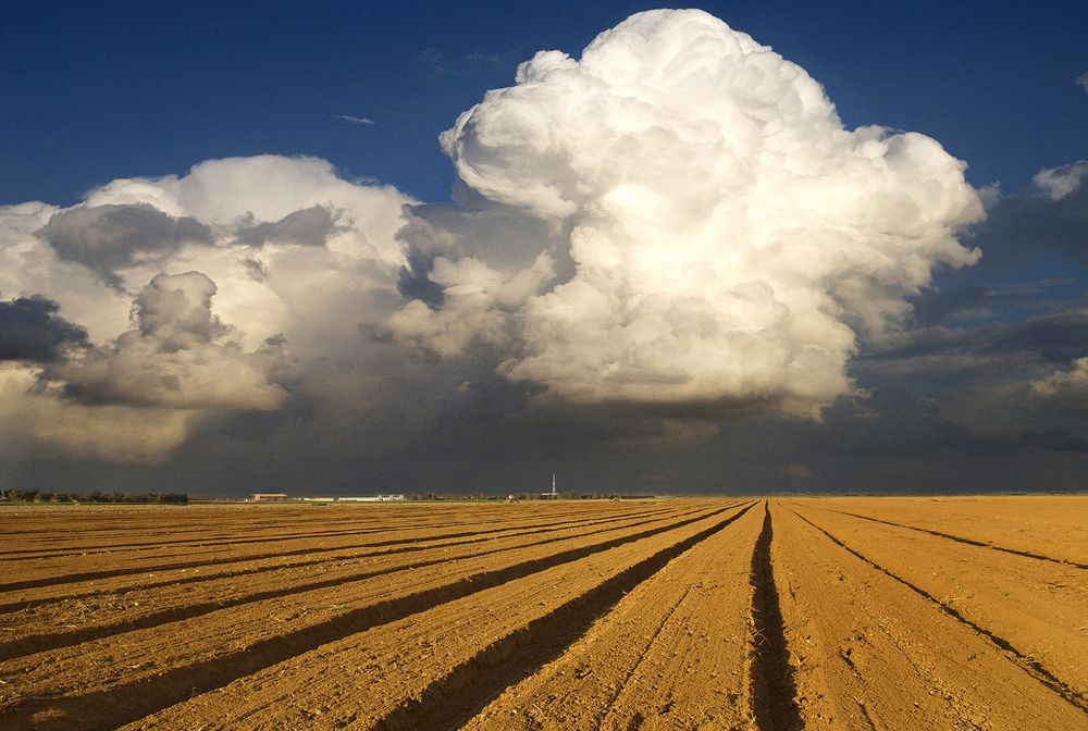 Photograph by Sergey Klimenko